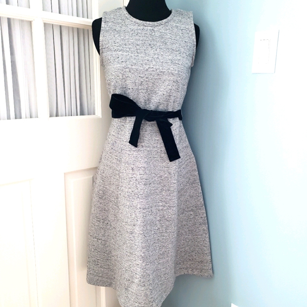 J. Crew Dress with Velour Belt